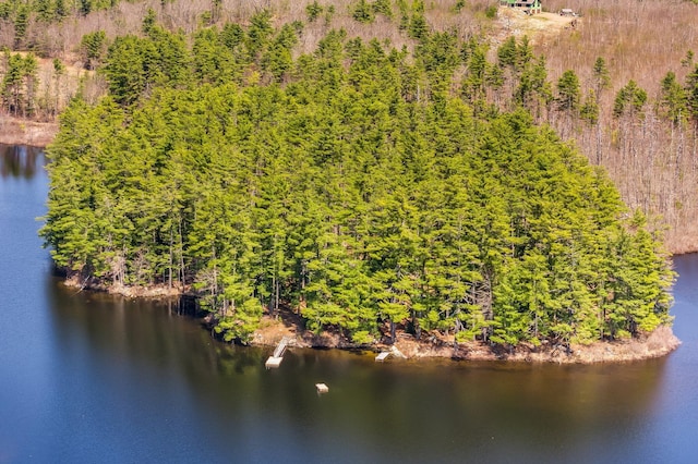 drone / aerial view of a nearby body of water