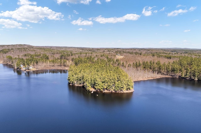 aerial view of a heavily wooded area and a large body of water