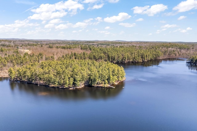 drone / aerial view of a forest and a nearby body of water