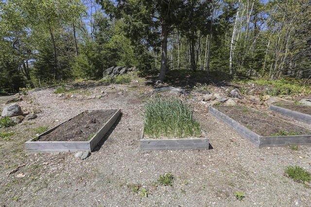 1300 Belfast Rd, Knox, ME 04986 - view of yard featuring a garden