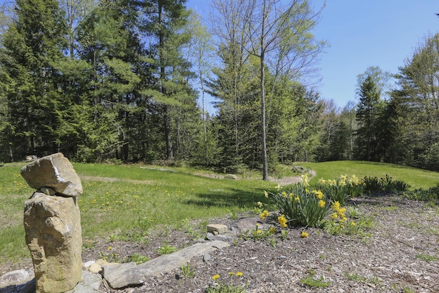 1300 Belfast Rd, Knox, ME 04986 - view of yard with a view of trees