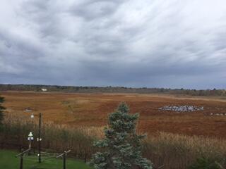 view of yard featuring a rural view