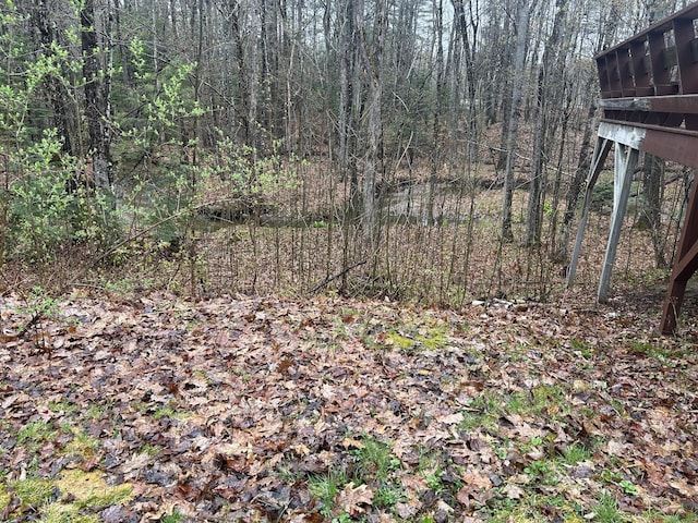 view of local wilderness with a forest view