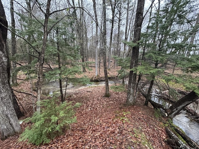 view of landscape