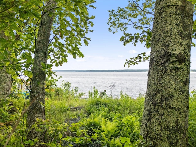 35 Nutting Ln, Trenton, ME 04605 - photo 71