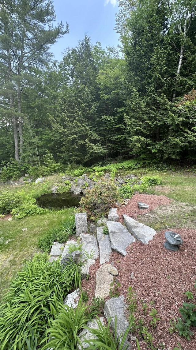 81 Maple Ridge Rd, Harrison, ME 04040 - view of yard