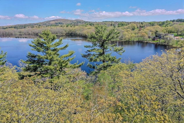 122 Oak Point Ln, Union, ME 04862 - water view with a forest and mountains