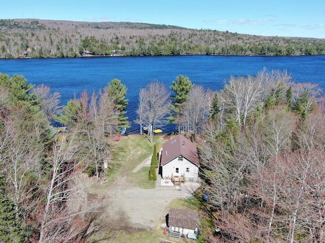bird's eye view featuring a water view and a forest view