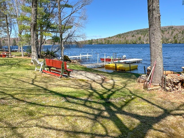 dock area with a lawn and a water view