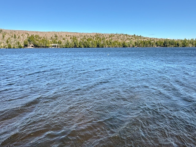 view of water feature