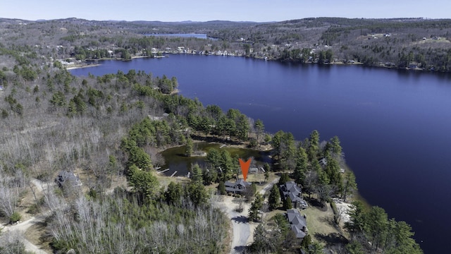 drone / aerial view with a water and mountain view and a view of trees