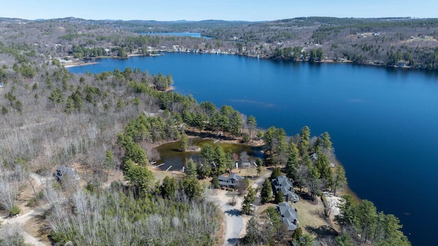 bird's eye view featuring a water and mountain view and a view of trees