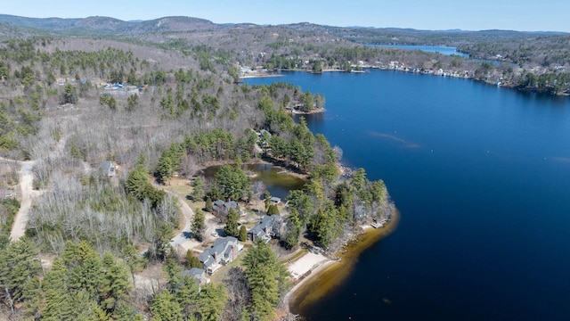 drone / aerial view with a water and mountain view and a view of trees