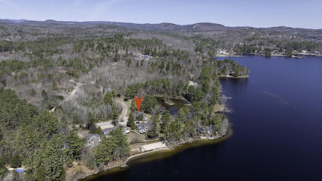 bird's eye view with a water and mountain view and a view of trees