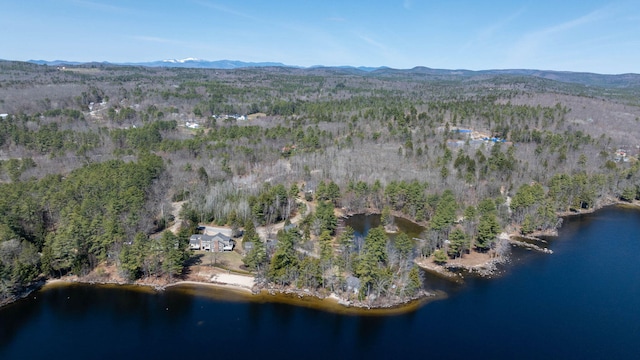 birds eye view of property with a water and mountain view and a forest view