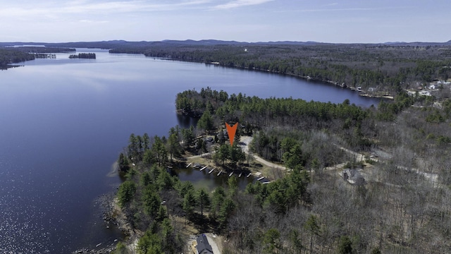 aerial view featuring a water view and a view of trees