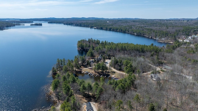 aerial view with a water view and a forest view
