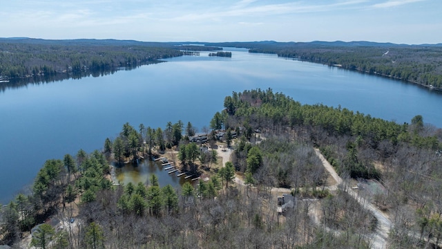 aerial view featuring a water view and a view of trees