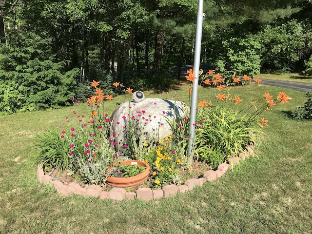 374 Youngs Ridge Rd, Acton, ME 04001 - view of green lawn