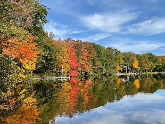 374 Youngs Ridge Rd, Acton, ME 04001 - water view with a heavily wooded area
