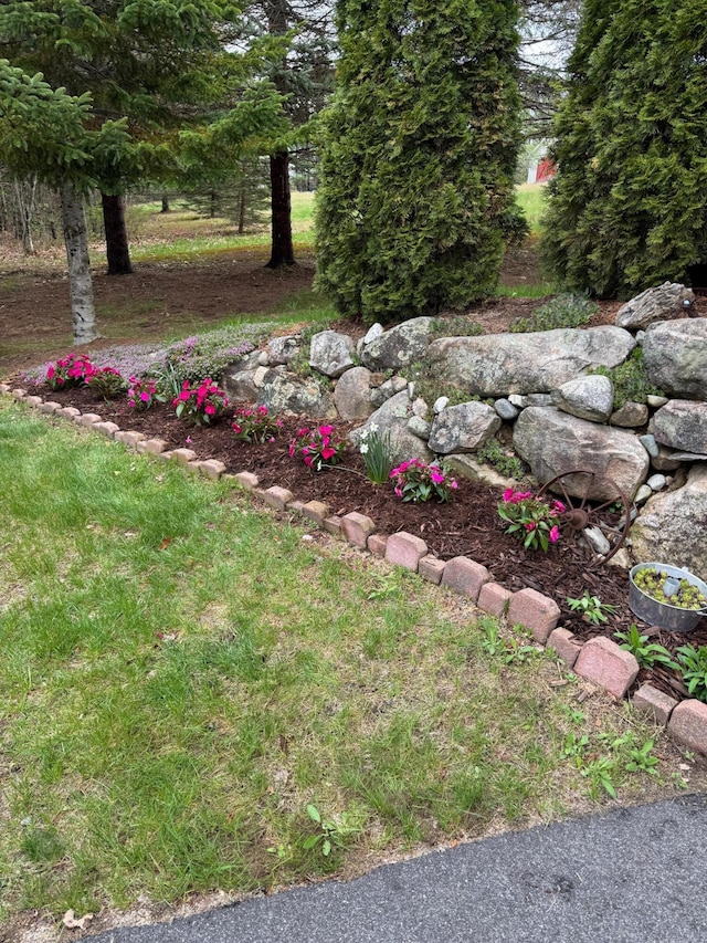 374 Youngs Ridge Rd, Acton, ME 04001 - view of yard