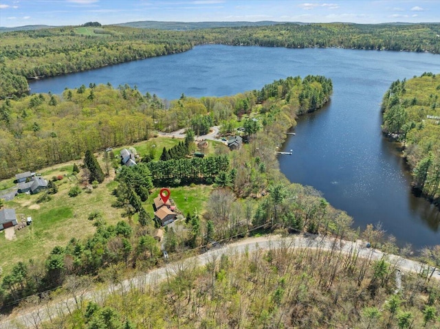 374 Youngs Ridge Rd, Acton, ME 04001 - aerial overview of property's location featuring a forest and a large body of water