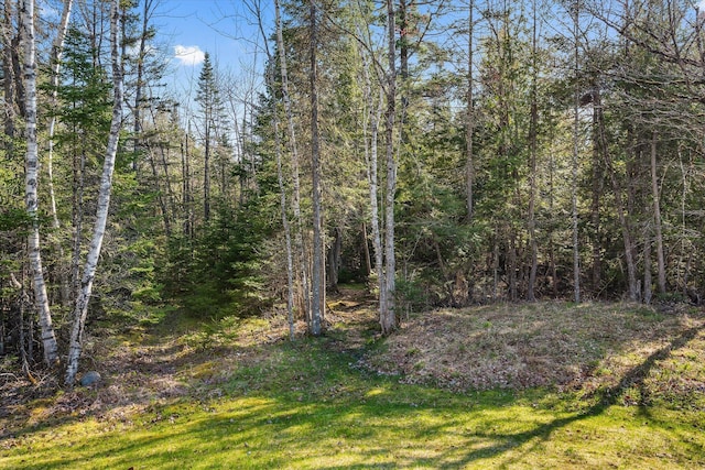 view of wooded area