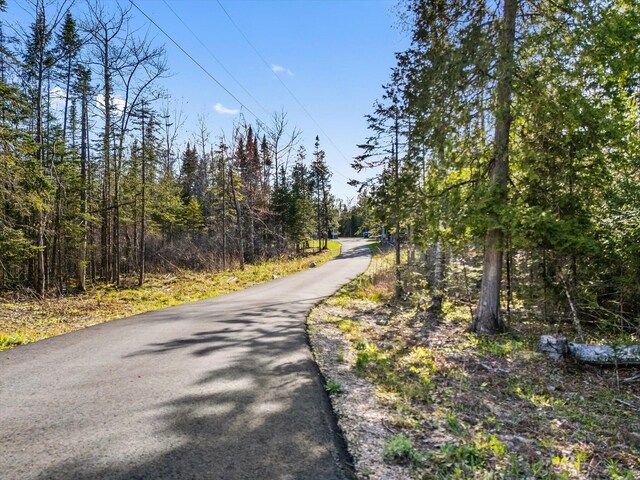 view of road with a wooded view