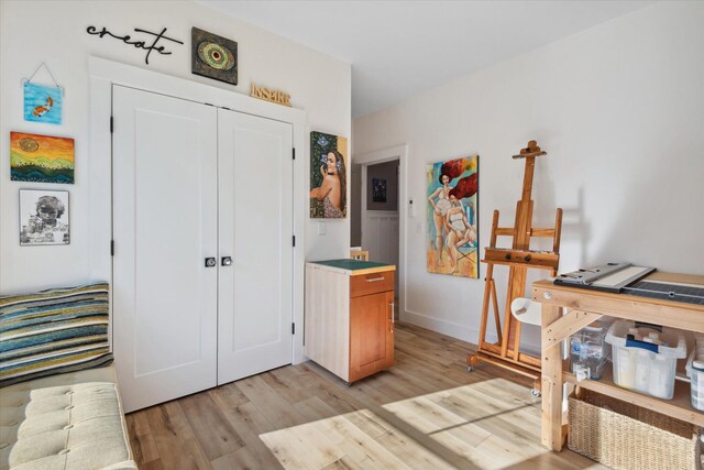 entrance foyer with light wood finished floors