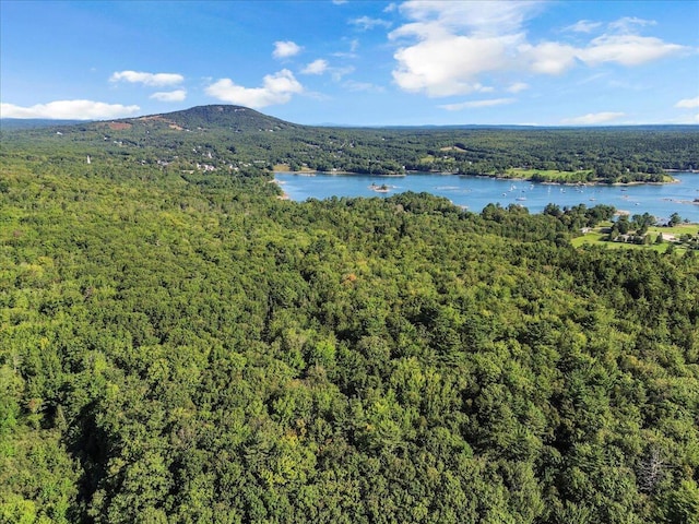 29 Penny Ln, Blue Hill, ME 04614 - property view of water featuring a view of trees