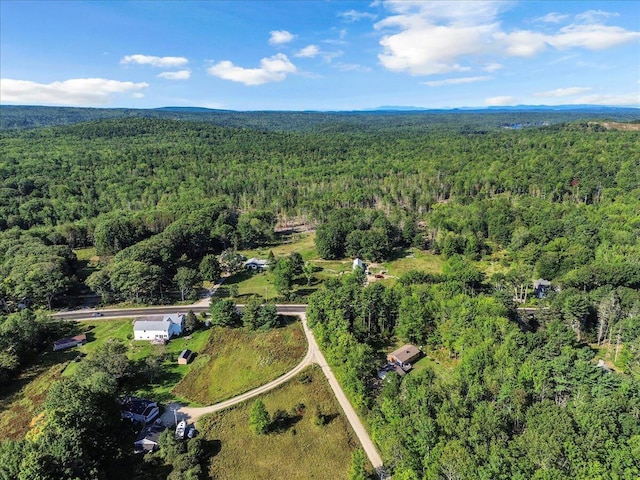 29 Penny Ln, Blue Hill, ME 04614 - birds eye view of property featuring a view of trees