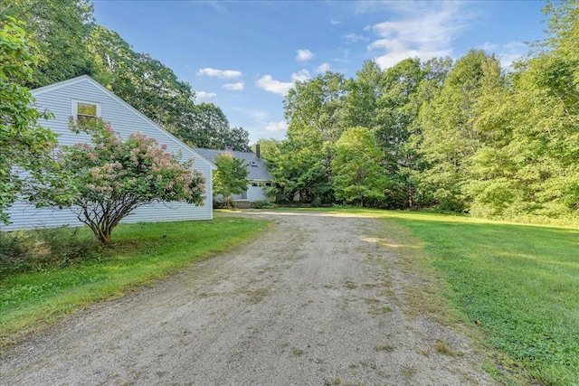 29 Penny Ln, Blue Hill, ME 04614 - view of road with dirt driveway