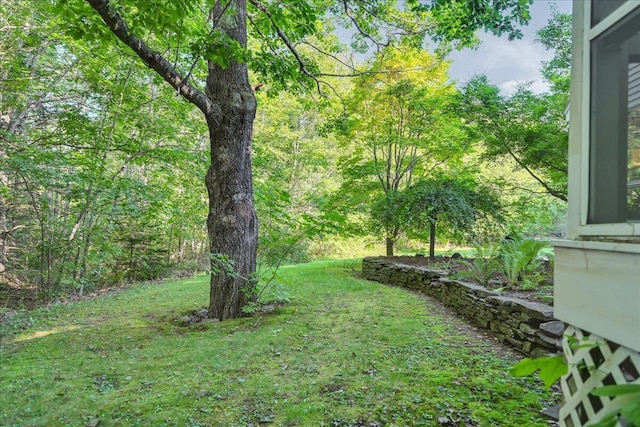 29 Penny Ln, Blue Hill, ME 04614 - view of yard