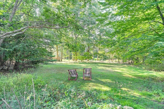 29 Penny Ln, Blue Hill, ME 04614 - view of community featuring a yard