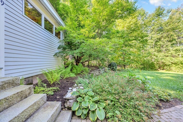 29 Penny Ln, Blue Hill, ME 04614 - view of yard