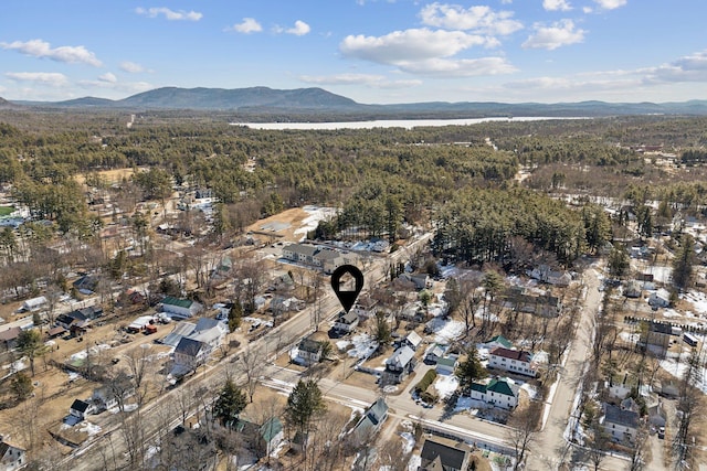 107 Portland St, Fryeburg, ME 04037 - drone / aerial view with a mountain view and a view of trees