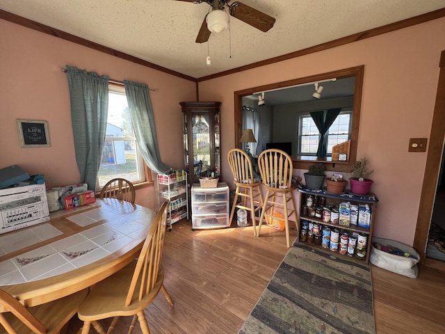 38 Access Hwy, Limestone, ME 04750 - dining space featuring a textured ceiling, ceiling fan, and wood finished floors