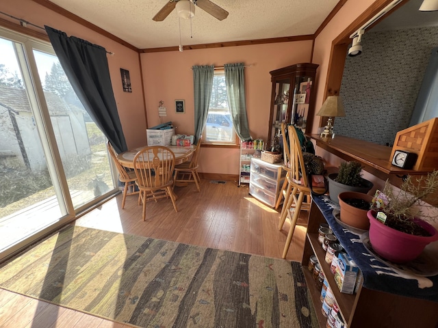 38 Access Hwy, Limestone, ME 04750 - dining area featuring wood-type flooring, a ceiling fan, a textured ceiling, and crown molding