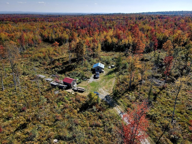 240 Higgins Rd, Pittsfield, ME 04967