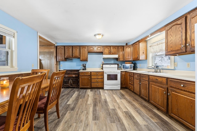 kitchen with dark wood-style floors, stainless steel microwave, under cabinet range hood, and white range with electric cooktop