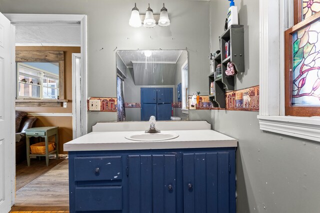 bathroom featuring wood finished floors and vanity
