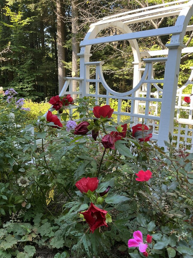 185 Rolling Hill Dr, Naples, ME 04055 - photo 71