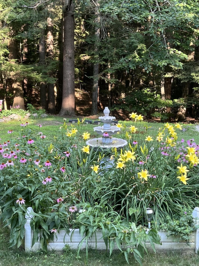 185 Rolling Hill Dr, Naples, ME 04055 - photo 74