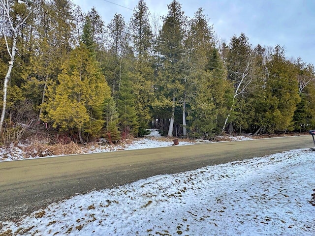 1873 Sly Brook Rd, Eagle Lake, ME 04739 - view of yard with a forest view