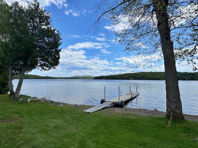 1873 Sly Brook Rd, Eagle Lake, ME 04739 - dock featuring a water view
