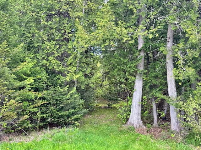1873 Sly Brook Rd, Eagle Lake, ME 04739 - view of wooded area