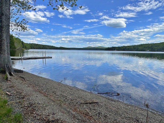 1873 Sly Brook Rd, Eagle Lake, ME 04739 - dock area with a water view and a forest view