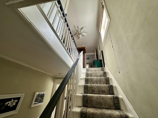 230 Center St, Brewer, ME 04412 - stairs featuring crown molding, ceiling fan, and a towering ceiling