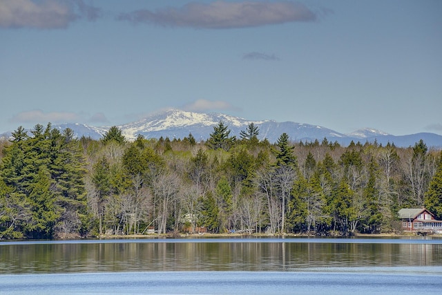 8 Cottage St, Bridgton, ME 04009 - photo 51