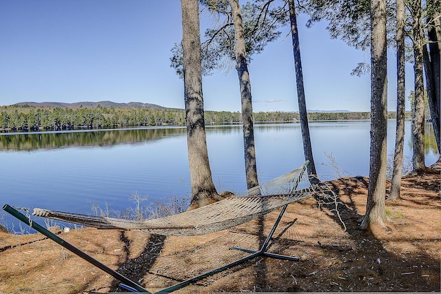 8 Cottage St, Bridgton, ME 04009 - photo 52